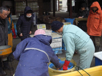 「温湯消毒」農薬を使わない種子消毒。塩水選を教わる若手生産者
