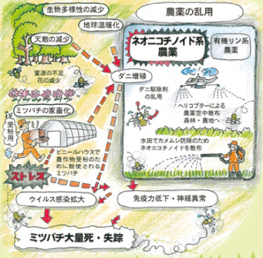 ネオニコチノイド系農薬とは