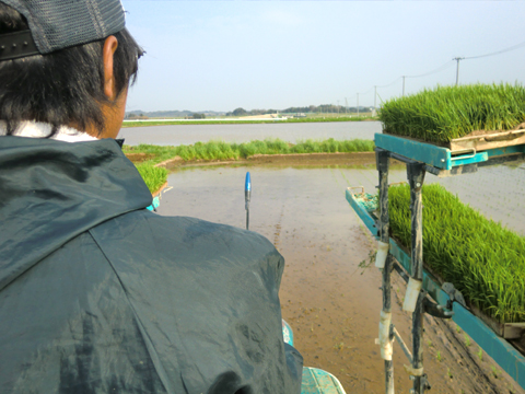 田植え機の運転席はこんな景色