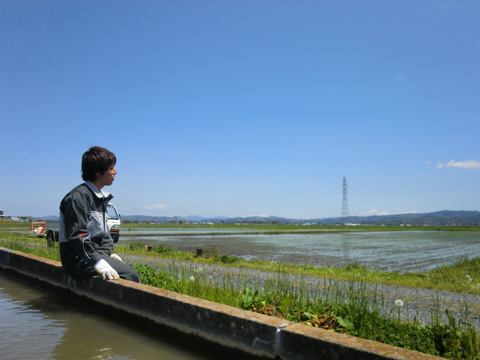 田植え機の運転席はこんな景色
