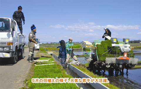 5月の田植えの様子。元気な若手が大活躍。