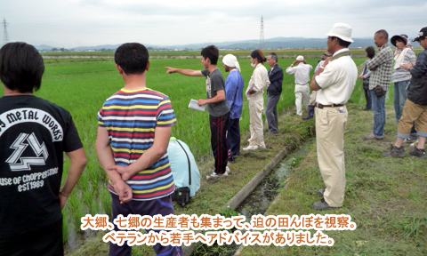 大郷、七郷の生産者も集まって、迫の田んぼを視察。ベテランから若手へのアドバイスがありました。。
