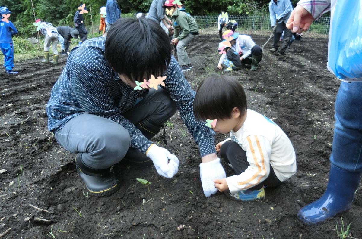 大人も子どももみんなで種まく