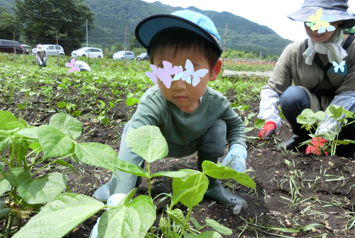 小さい子も立派な戦力