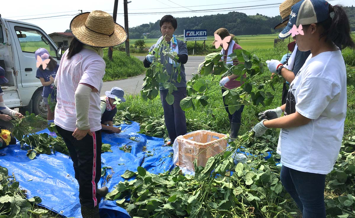 枝豆のさや外し