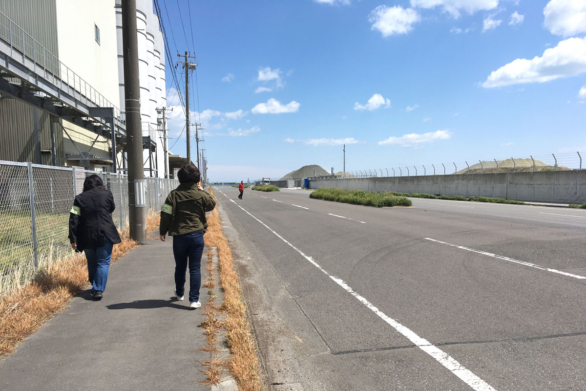 除草剤がまかれた飼料会社のある歩道側。中央分離帯との違いは一目瞭然