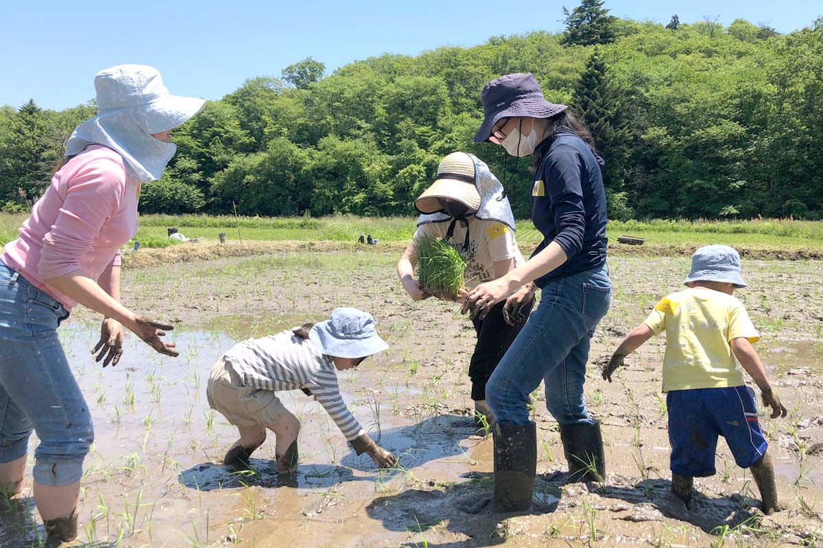 子供たちも大活躍