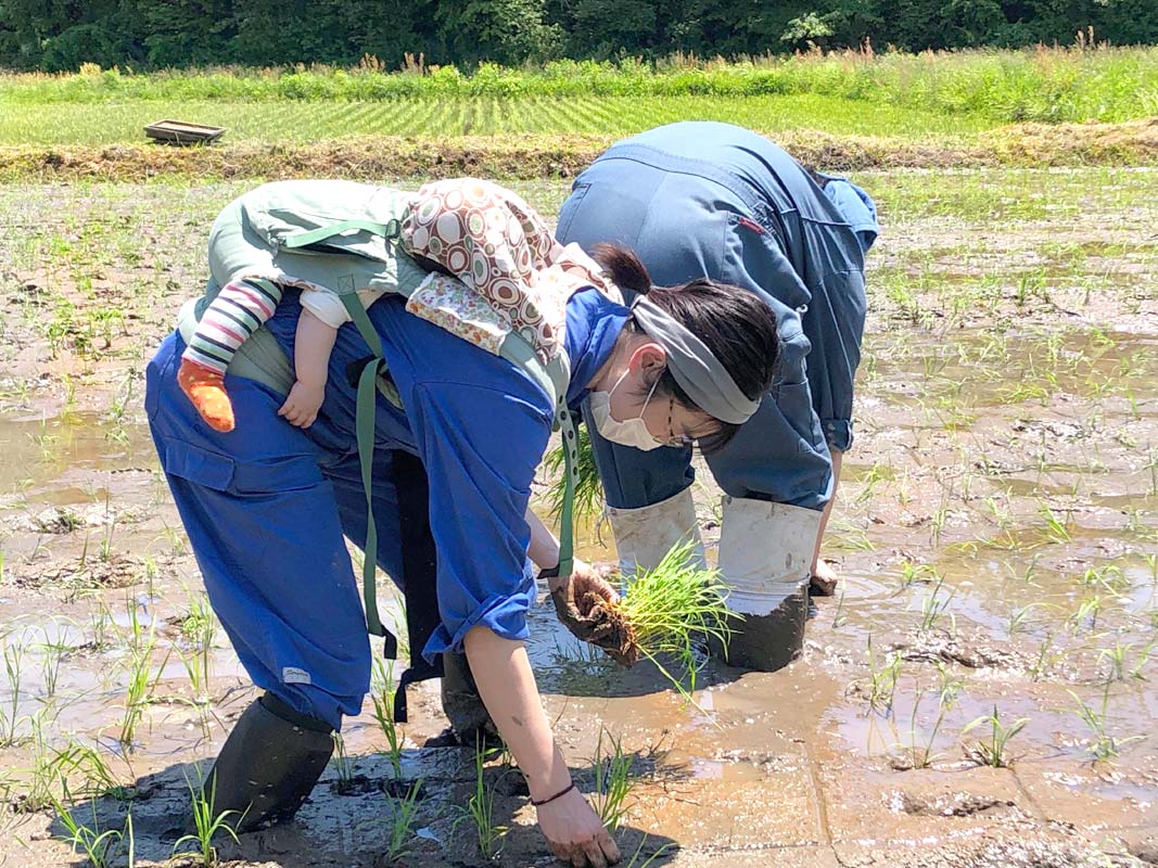 赤ちゃんをおんぶしながら田植え