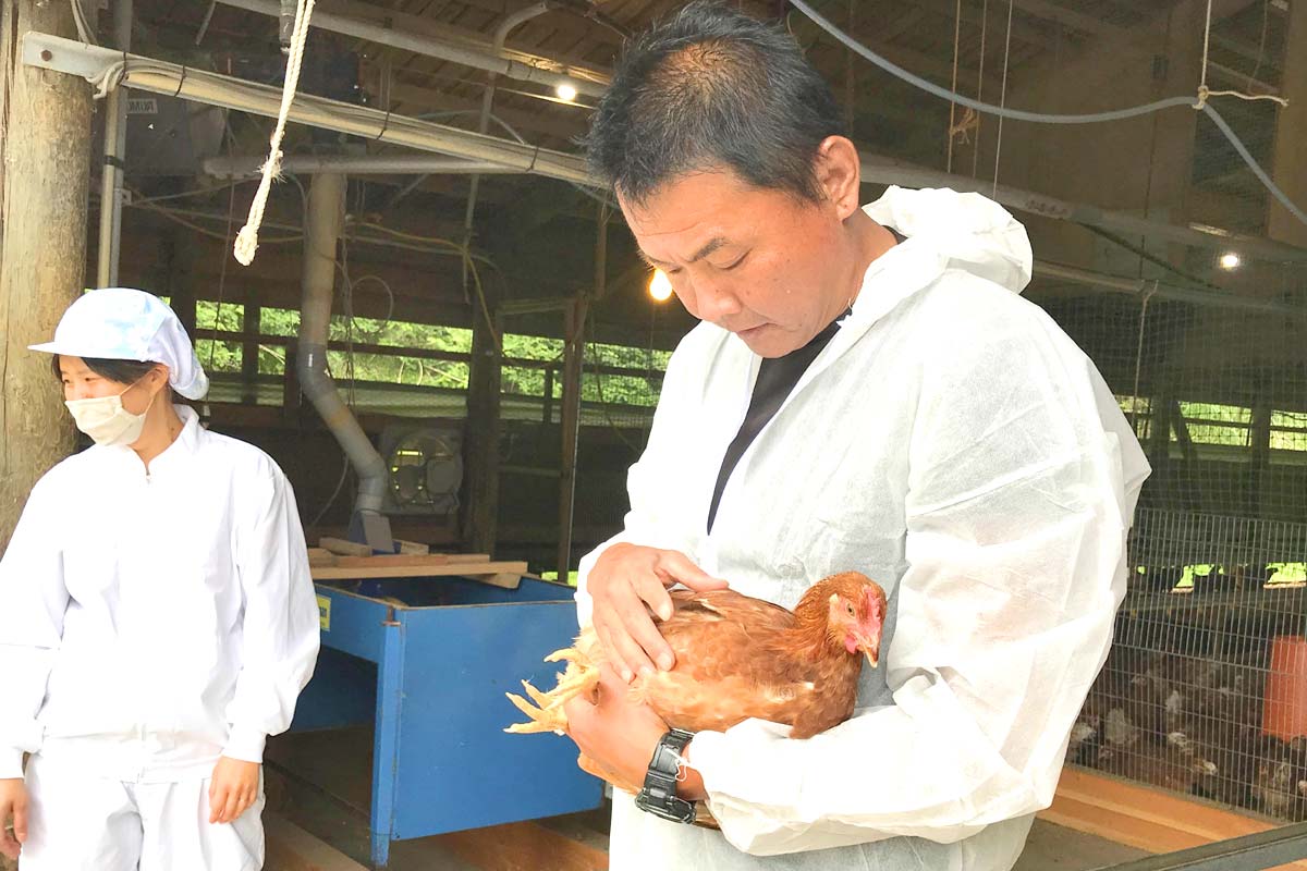 米沢郷牧場平飼い卵見学