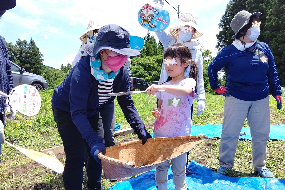 ごみを風で吹き飛ばす
