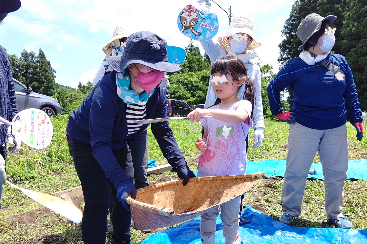 ごみを風で吹き飛ばす