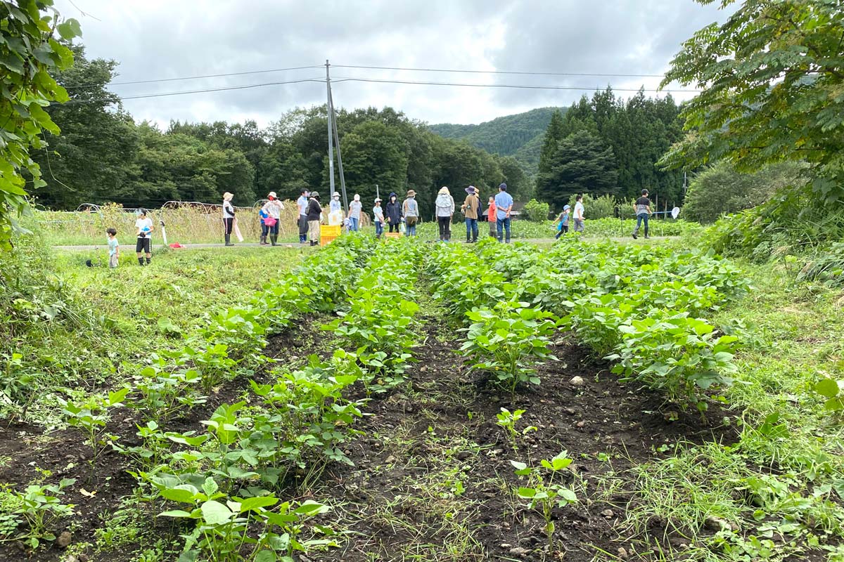 作業終了。お疲れ様でした。