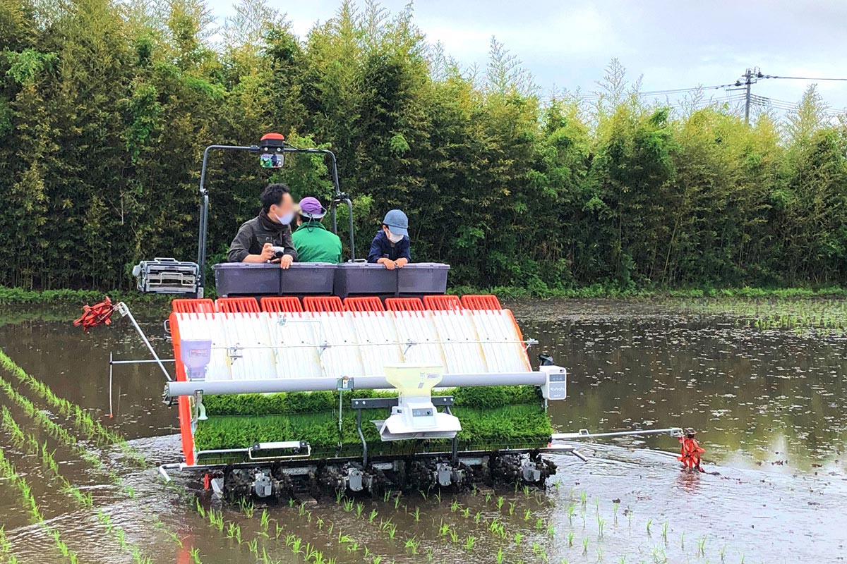 田植え機乗車体験。手植えとは比べ物にならないスピード！