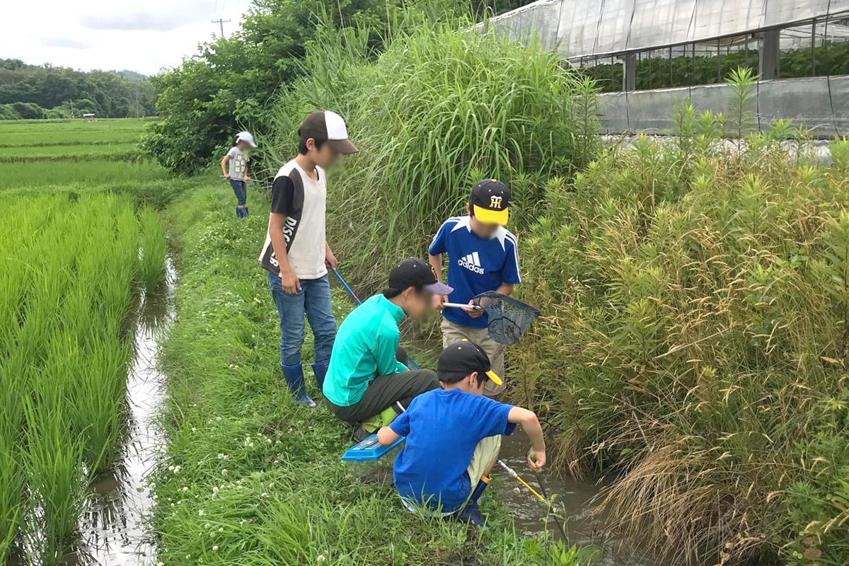 たくさんの生き物を見つける子どもたち