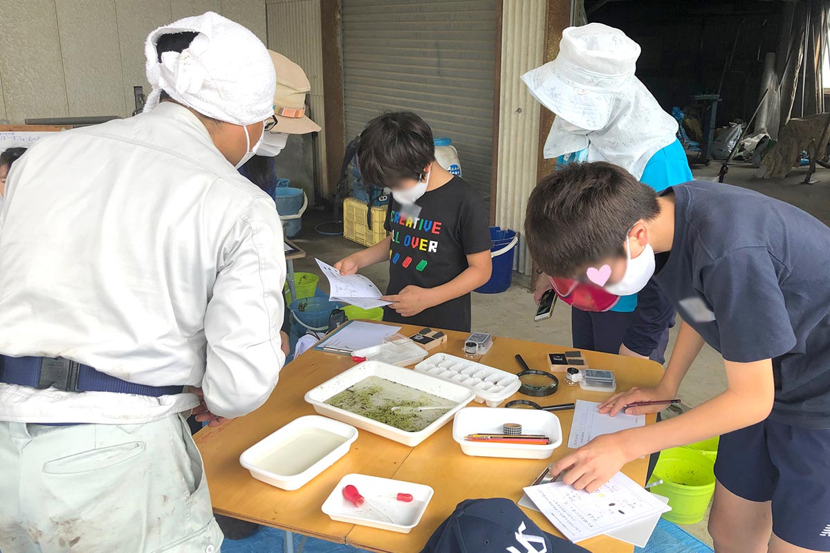 虫の特徴を答えていくと虫の名前が分かる図鑑を使いながら観察記録を付けています