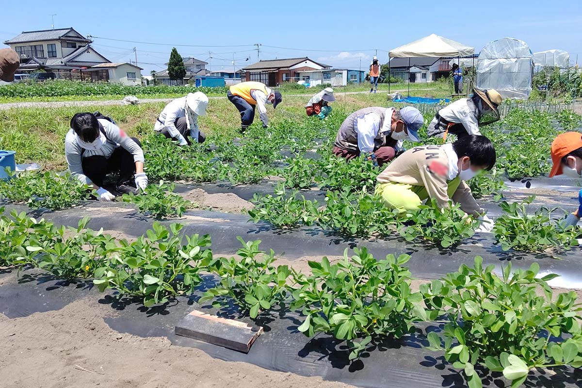 みんなで除草