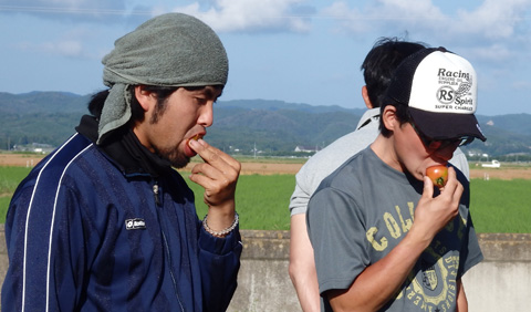 トマト試食