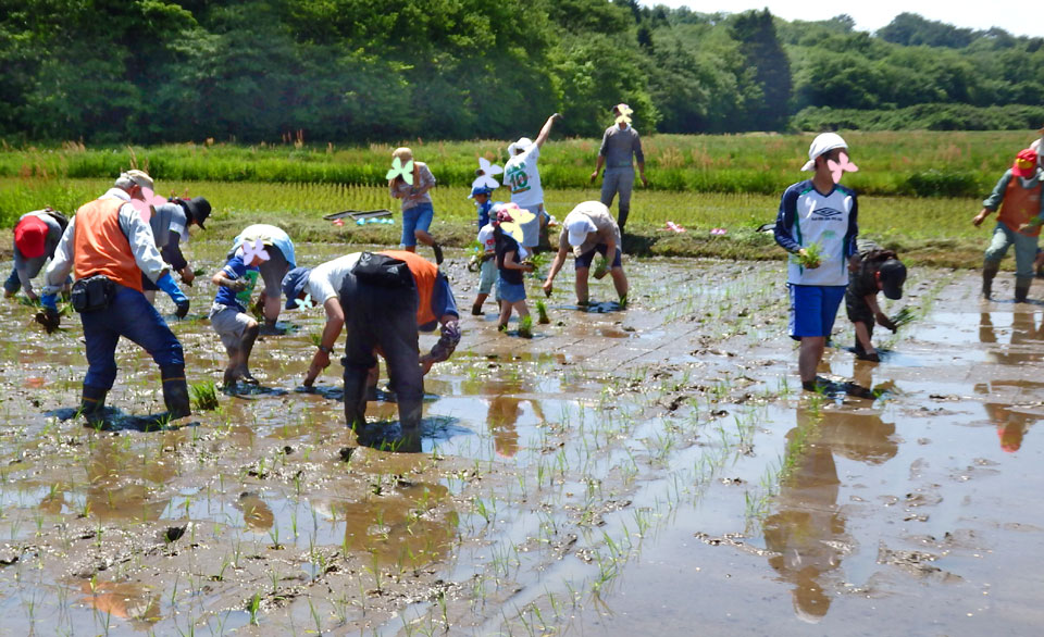 みんなで協力