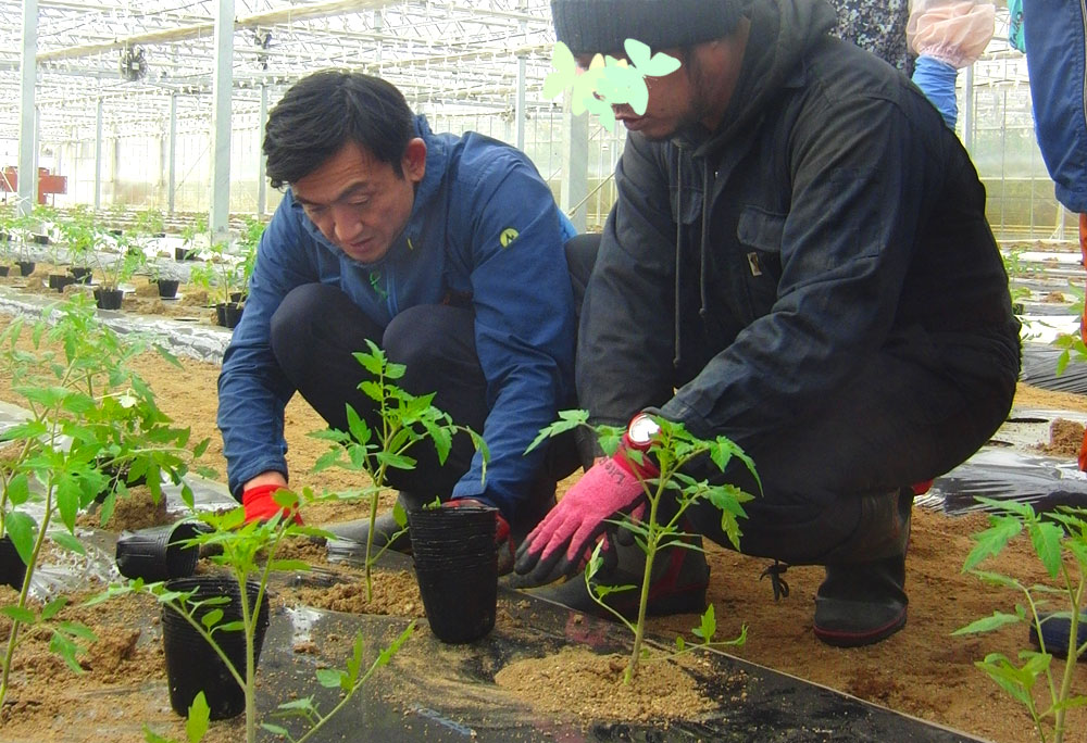 植え方を教わる