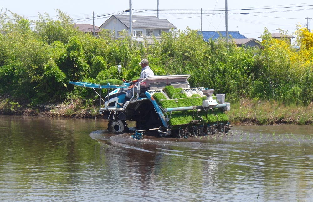 細谷さん運転の田植え機