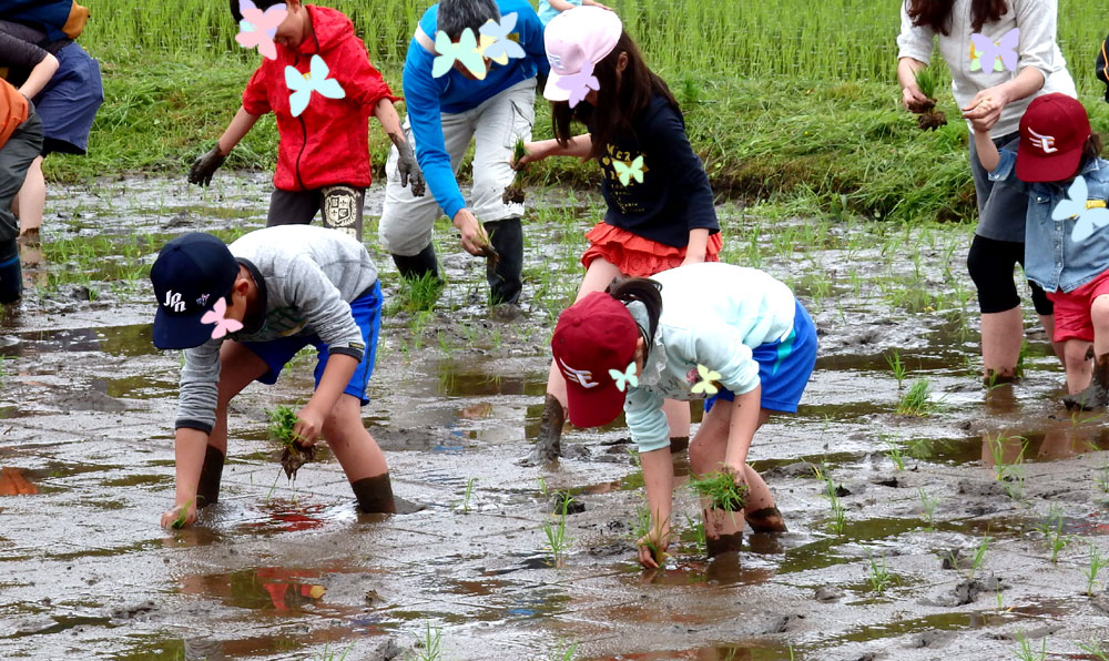 上手に植える子ども達