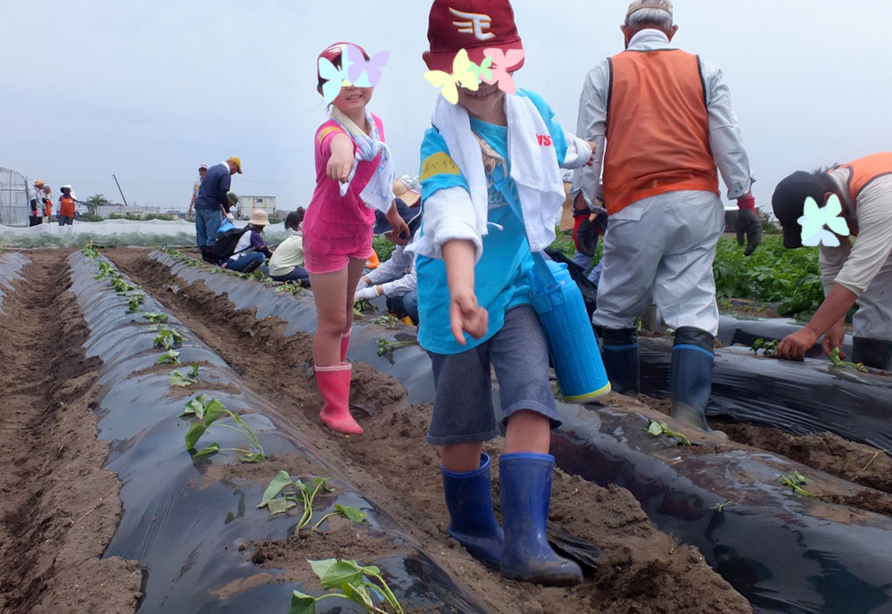 これはパパが植えたの。ママの、私の、僕のっ