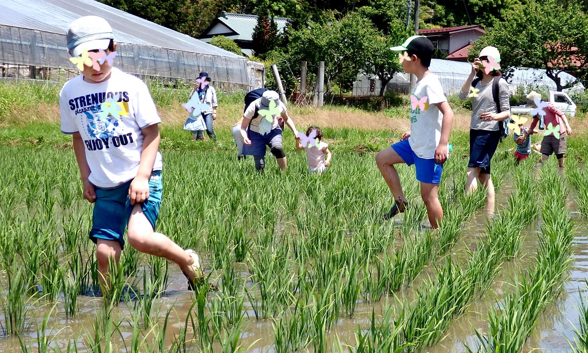 子ども達が探しているのは