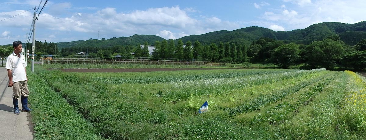 秋保佐藤さんの圃場