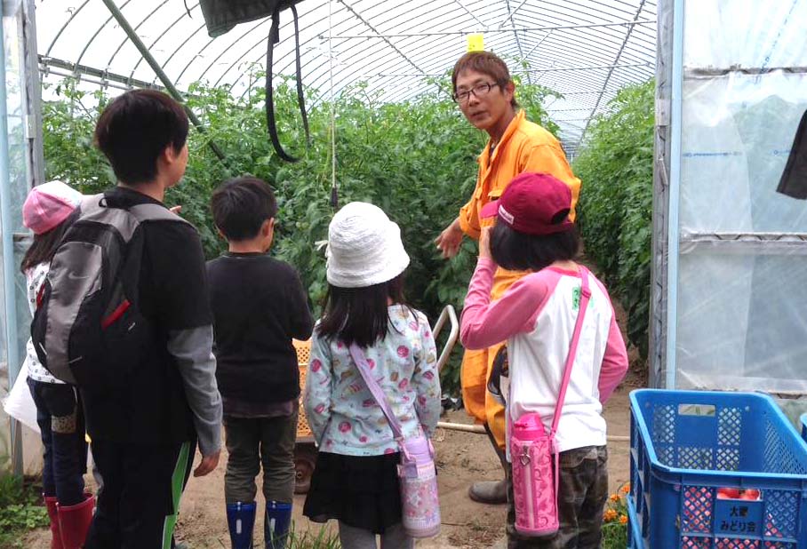 トマトハウス見学