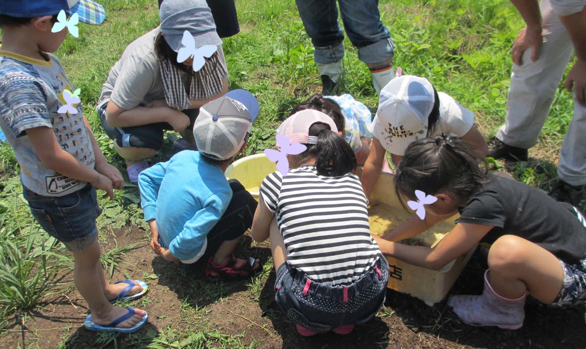 田んぼの生き物に群がる子どもたち