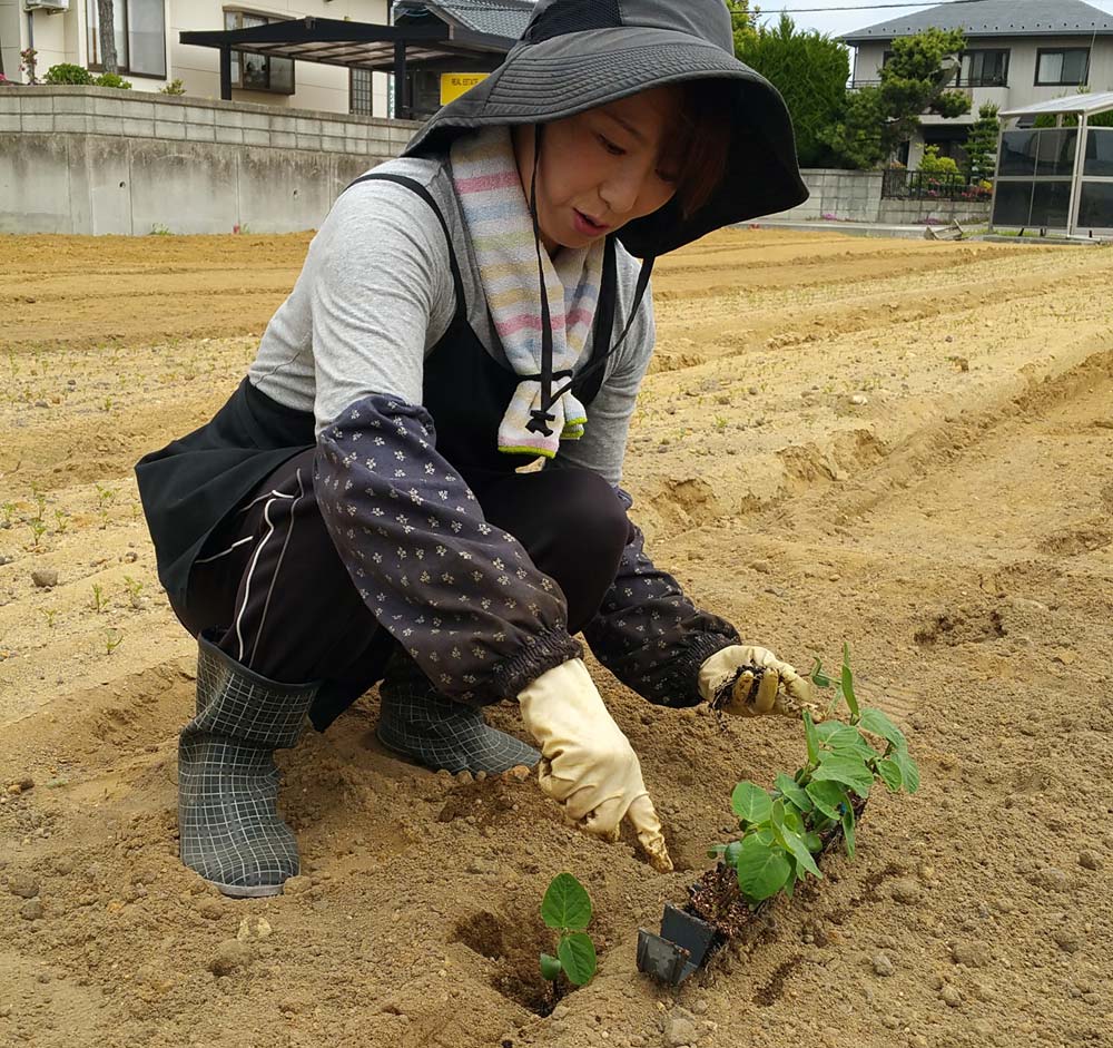 植え方を教わる