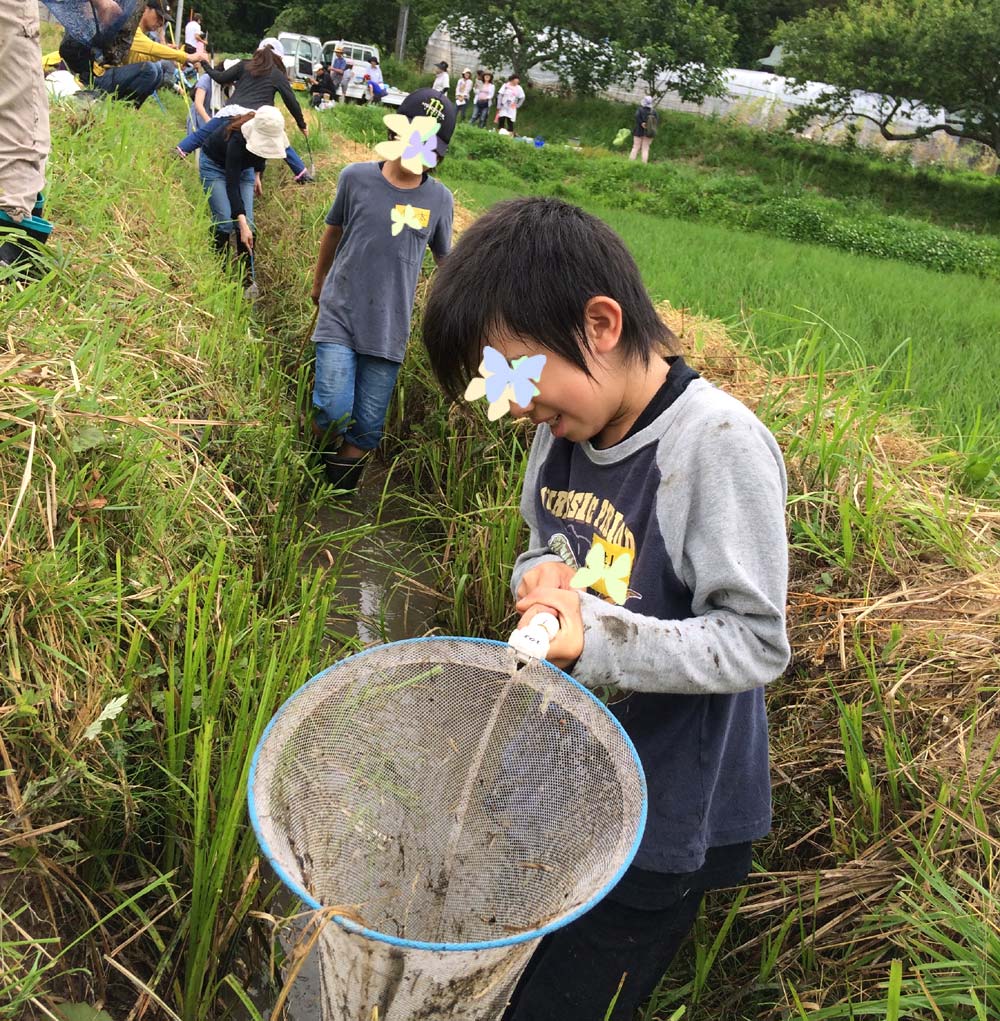 用水路、なにがとれるかな？