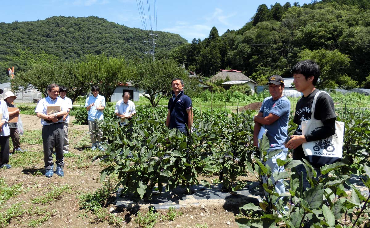 迫自然村の圃場視察