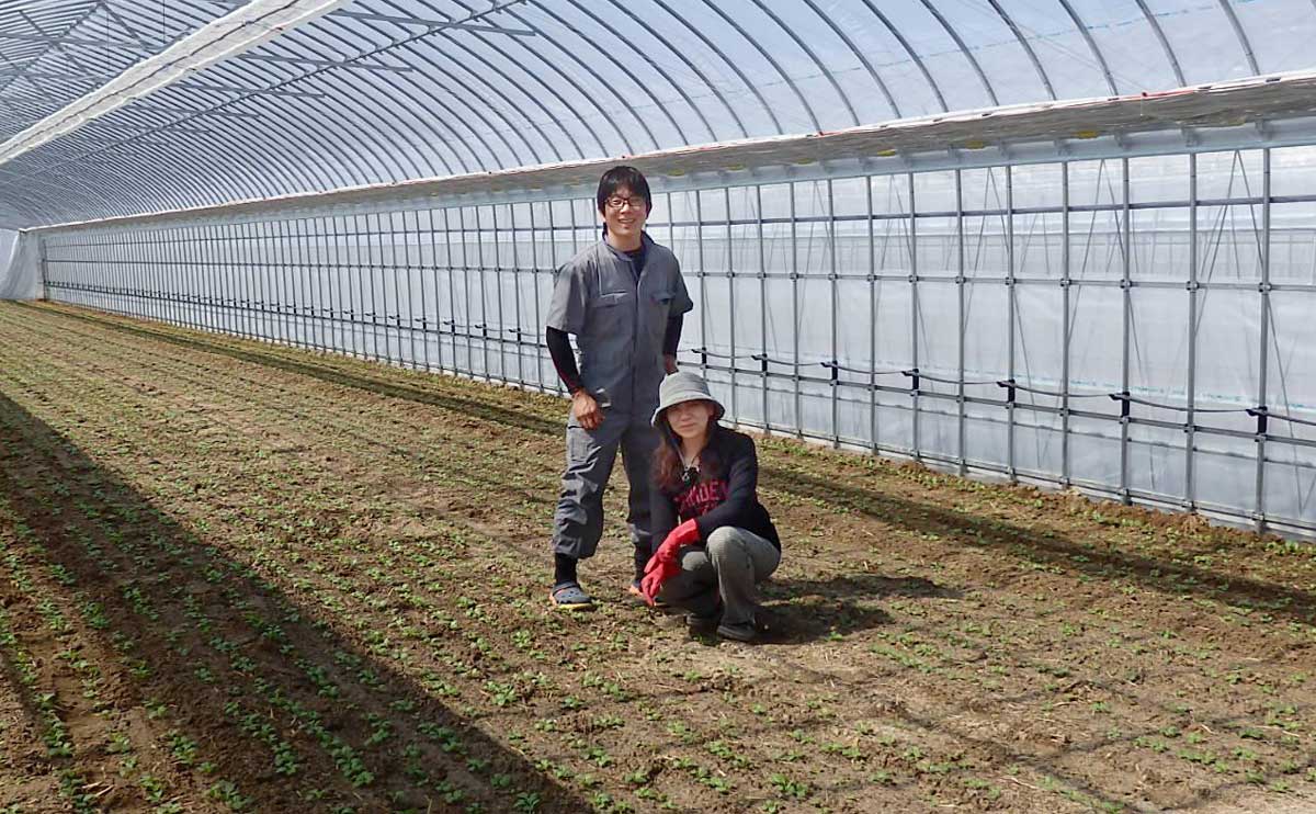 ハウスを担当する熊谷剛介さん、佐藤留美さん