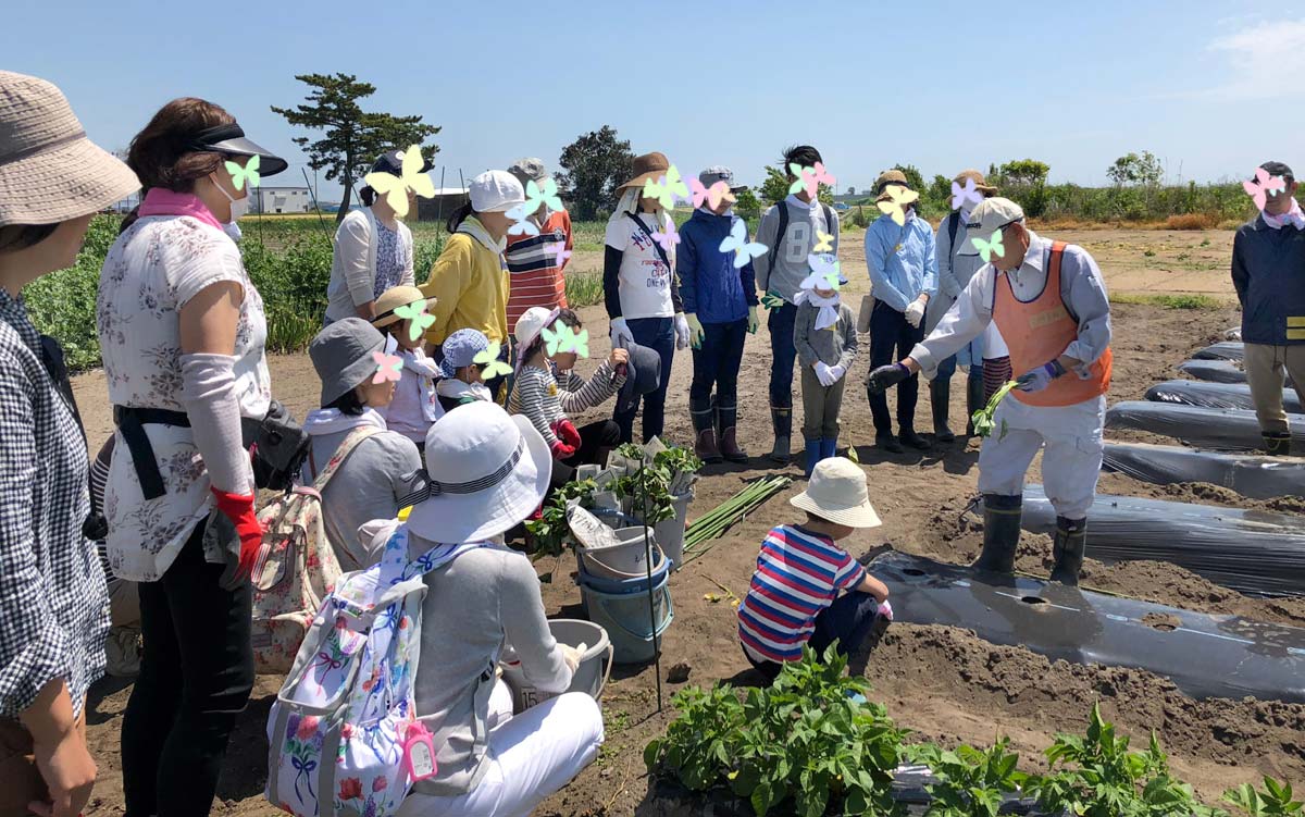 紅あずま植え付けの説明を聞く