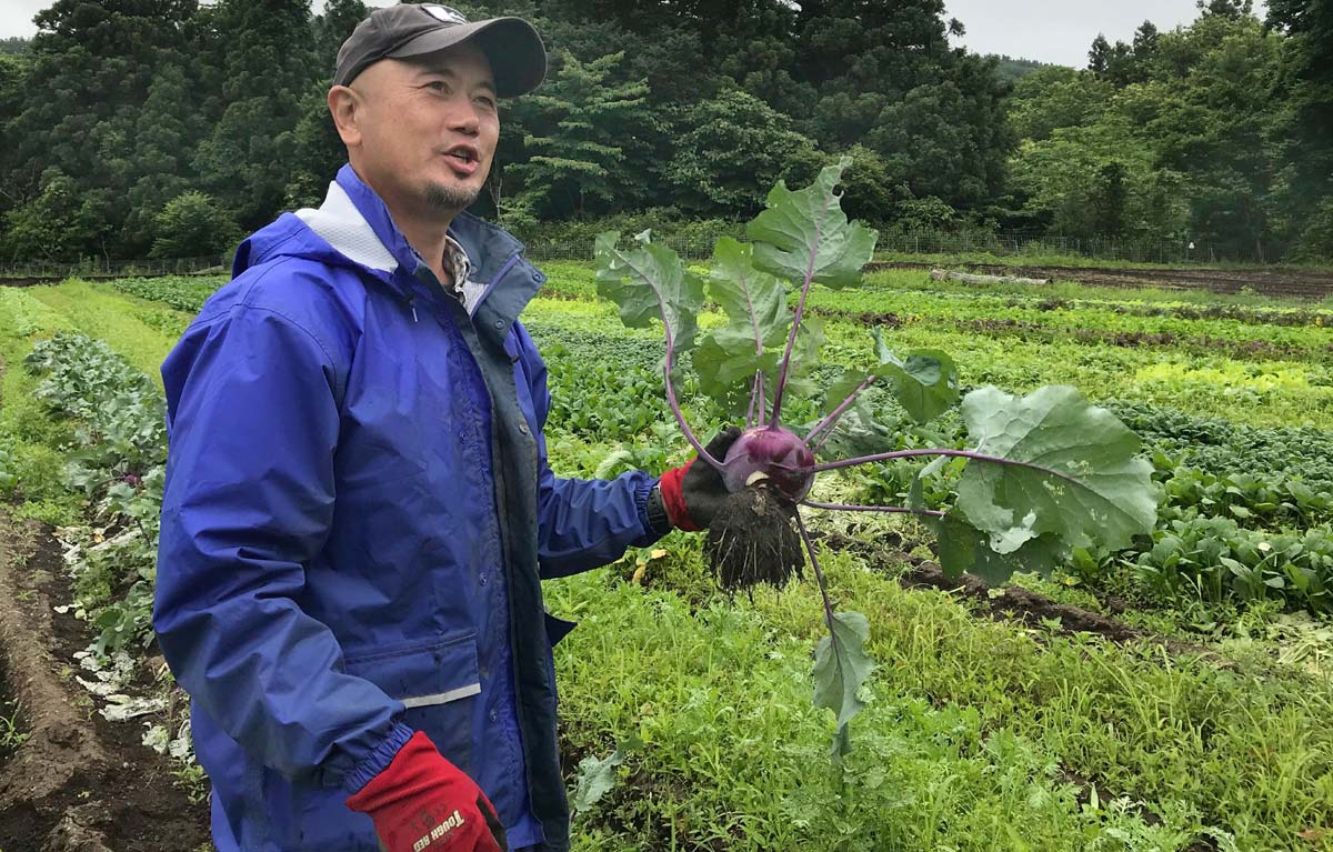 宇宙人のようなコールラビ