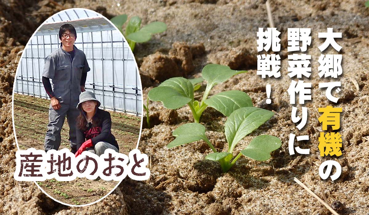 大郷で有機の野菜作りに挑戦