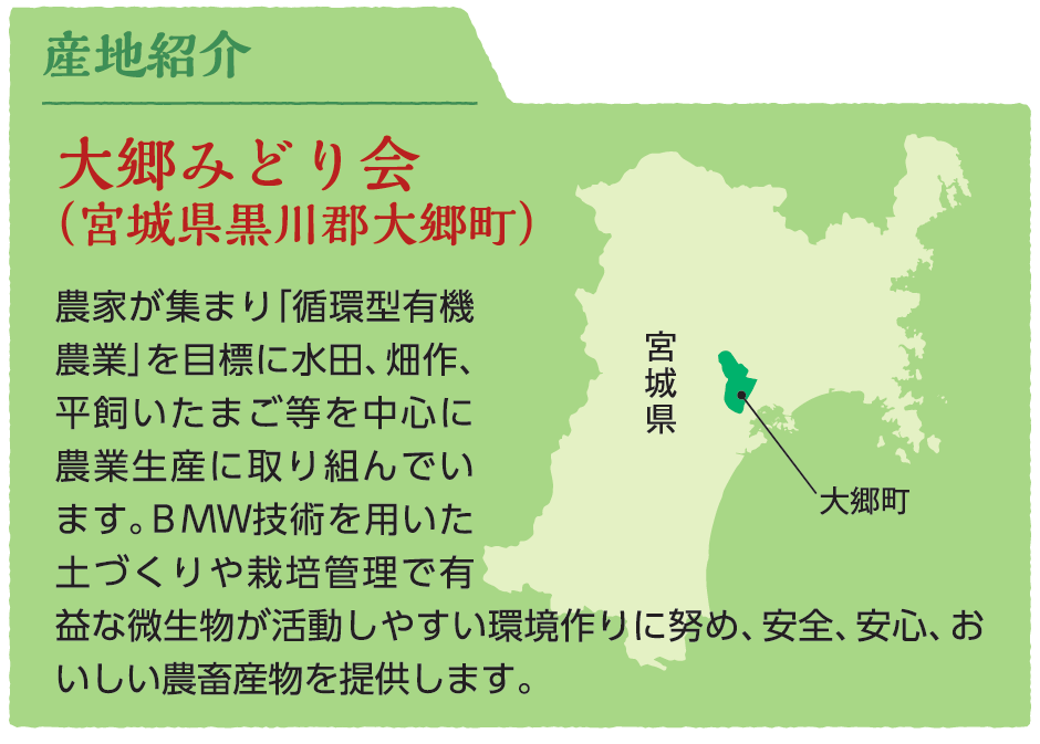 産地紹介。大郷みどり会（宮城県黒川郡大郷町）農家が集まり「循環型有機農業」を目標に水田、畑作、平飼いたまご等を中心に農業生産に取り組んでいます。ＢＭＷ技術を用いた土づくりや栽培管理で有益な微生物が活動しやすい環境作りに努め、安全、安心、おいしい農畜産物を提供します。