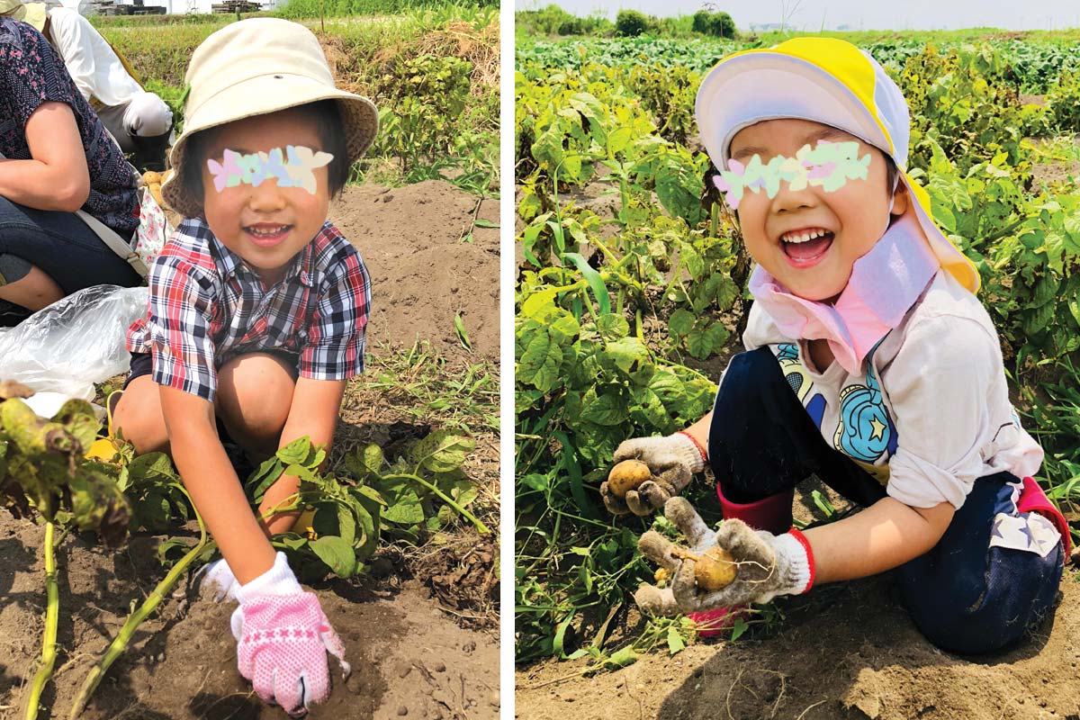 じゃが芋掘り、たのしい！