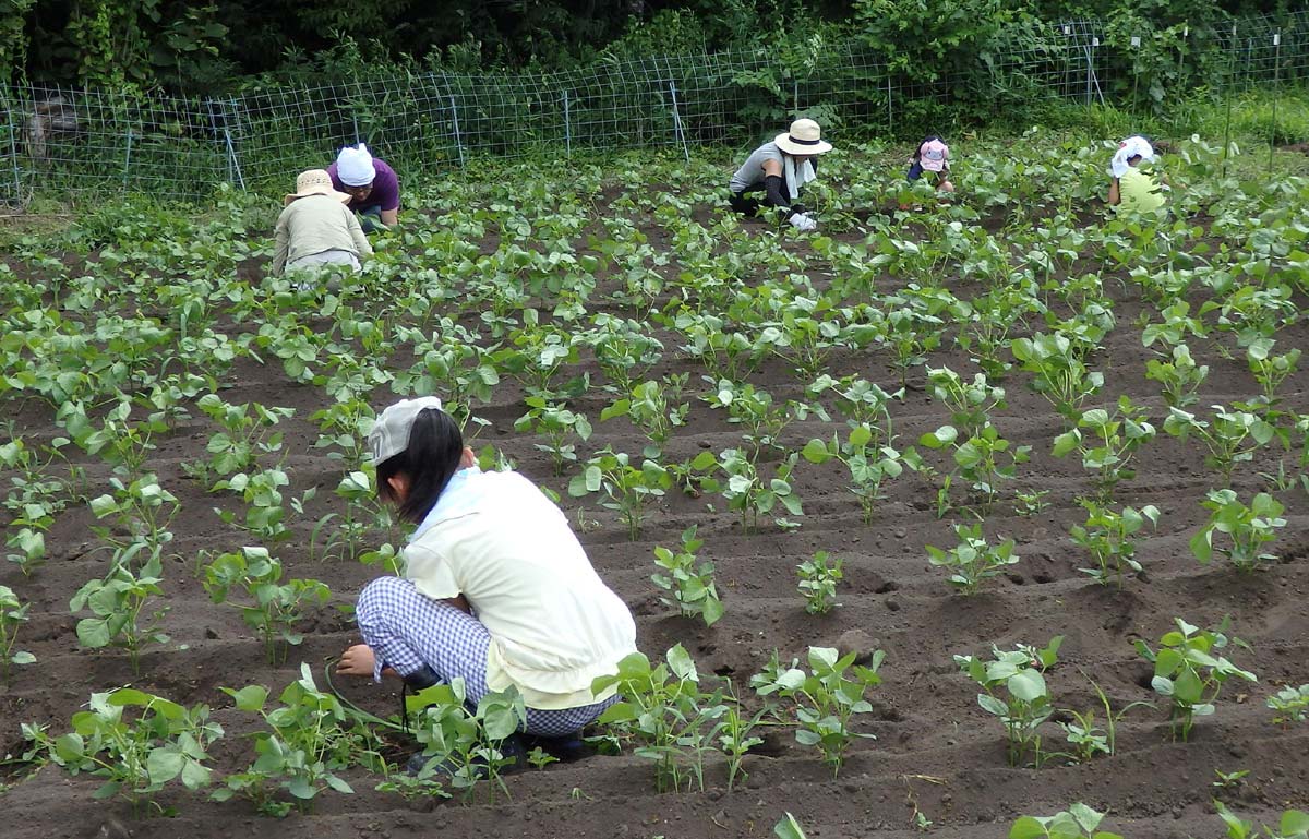 みんな下を向いて一心に