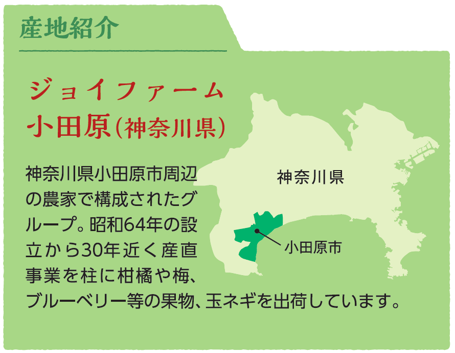 産地紹介。ジョイファーム小田原（神奈川県）。神奈川県小田原市周辺の農家で構成されたグループ。昭和64年の設立から30年近く産直事業を柱に柑橘や梅、ブルーベリー等の果物、玉ネギを出荷しています。