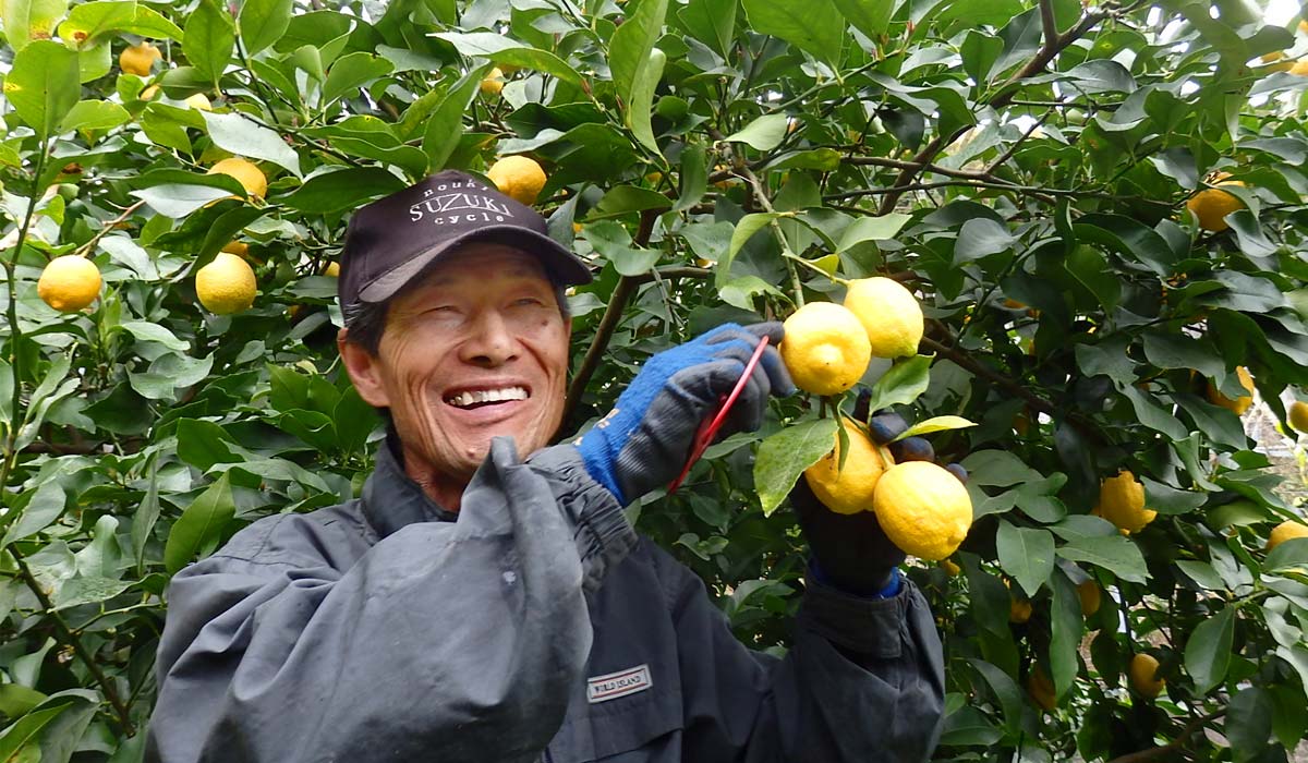 眼生産者の広石計典さん。レモン畑で。