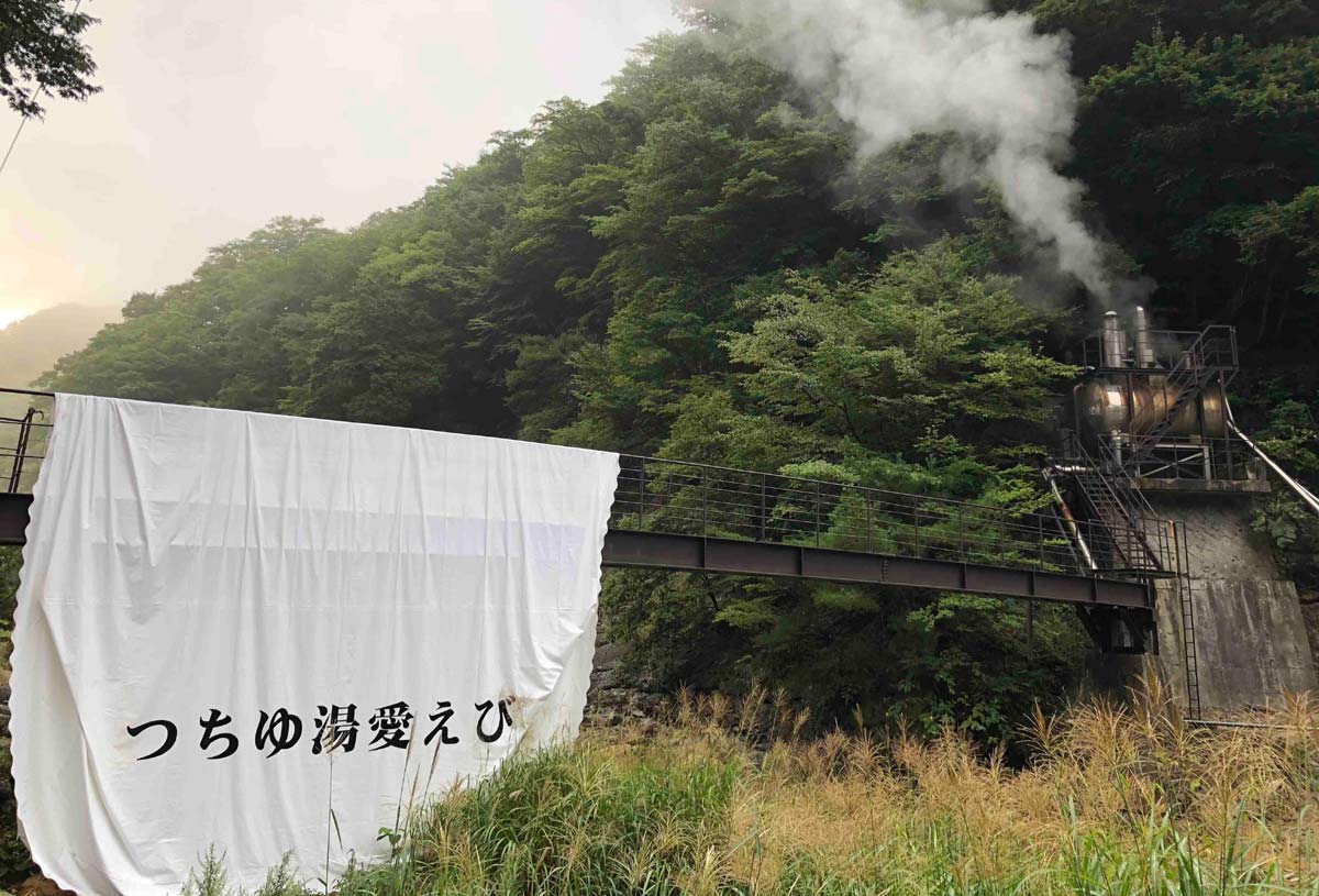 つち湯愛えび養殖