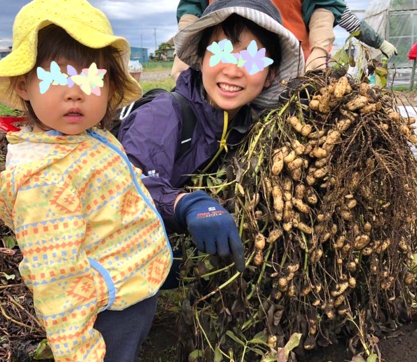 丸々太った落花生