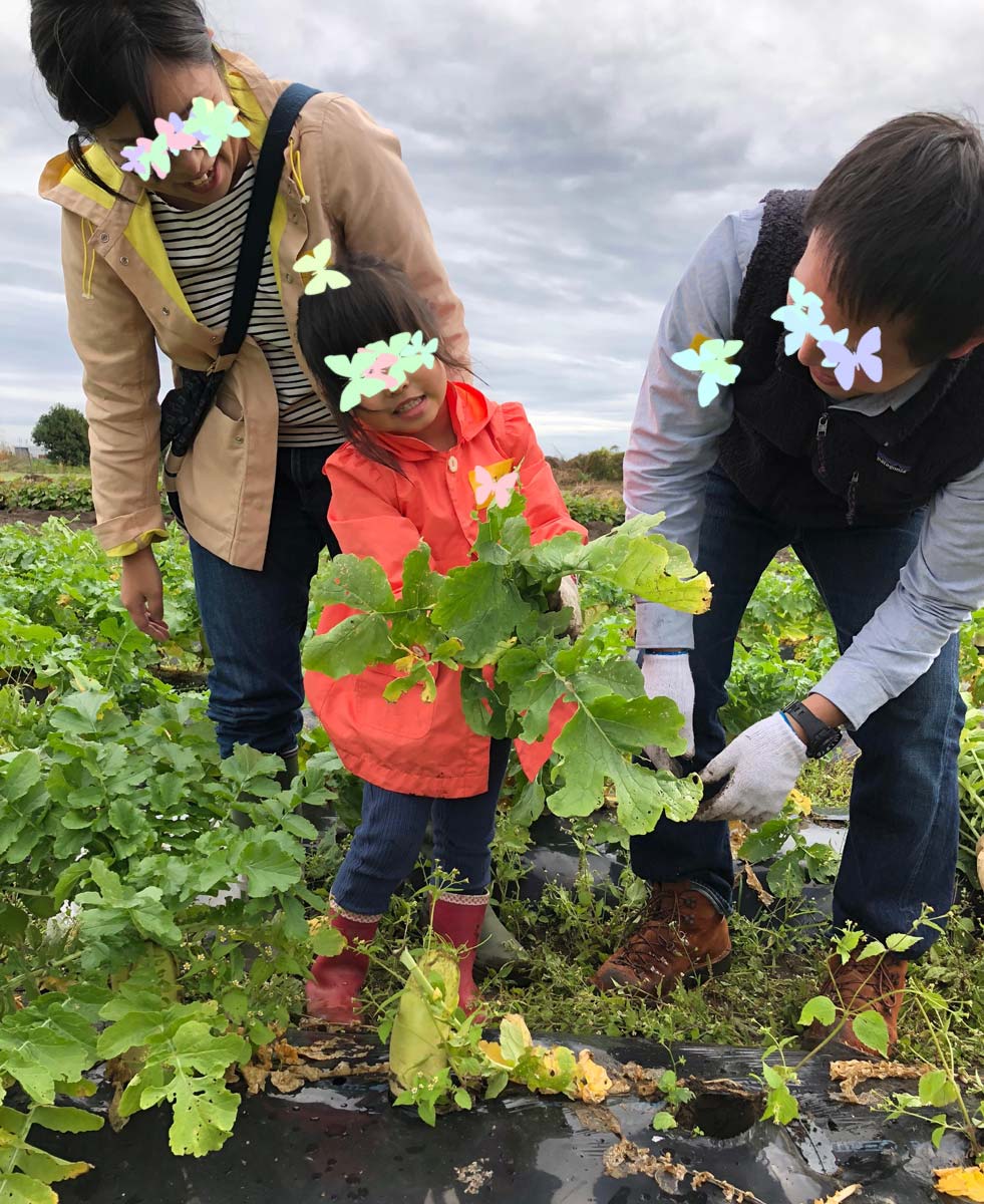 よいしょ！大根の収穫