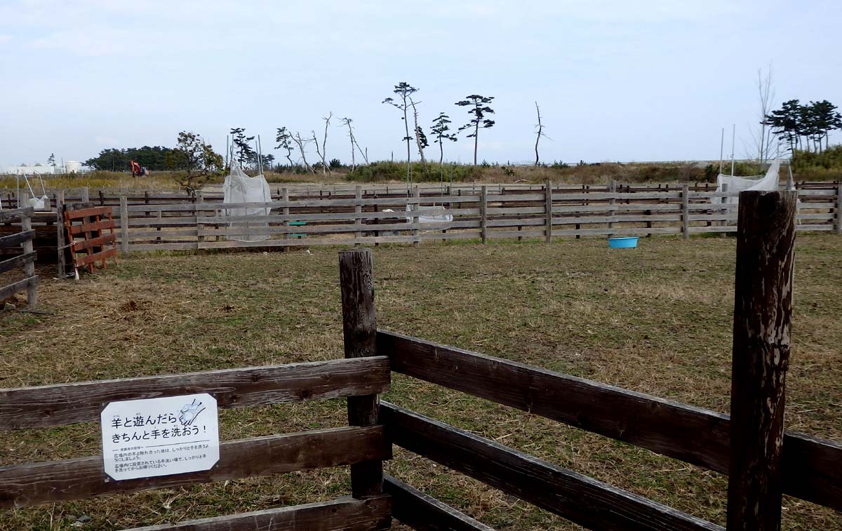 広大な敷地