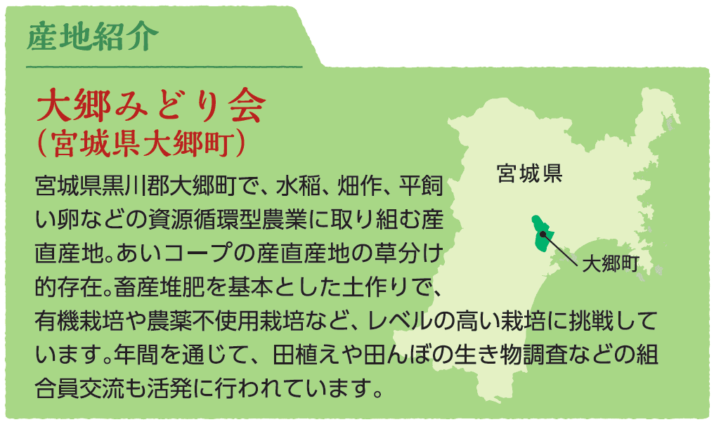 大郷みどり会（宮城県大郷町）宮城県黒川郡大郷町で、水稲、畑作、平飼い卵などの資源循環型農業に取り組む産直産地。あいコープの産直産地の草分け的存在。畜産堆肥を基本とした土作りで、有機栽培や農薬不使用栽培など、レベルの高い栽培に挑戦しています。年間を通じて、田植えや田んぼの生き物調査などの組合員交流も活発に行われています。