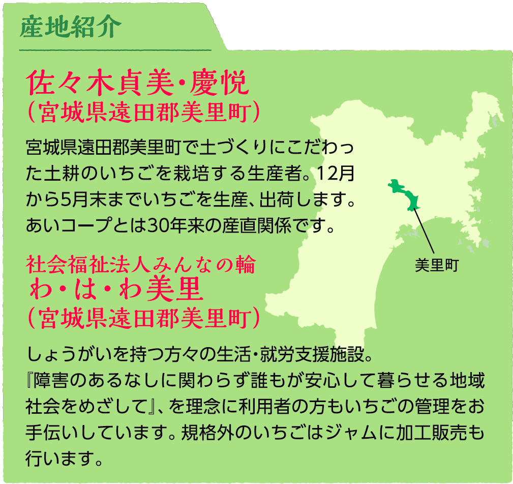 産地紹介1:佐々木貞美・慶悦（宮城県遠田郡美里町）宮城県遠田郡美里町で土づくりにこだわった土耕のいちごを栽培する生産者。12月から5月末までいちごを生産、出荷します。あいコープとは30年来の産直関係です。産地紹介2:社会福祉法人みんなの輪わ・は・わ美里（宮城県遠田郡美里町）しょうがいを持つ方々の生活・就労支援施設。『障害のあるなしに関わらず誰もが安心して暮らせる地域社会をめざして』、を理念に利用者の方もいちごの管理をお手伝いしています。規格外のいちごはジャムに加工販売も行います。