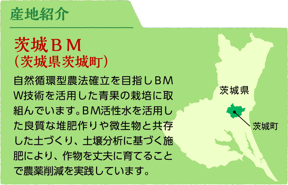 産地紹介:茨城ＢＭ（茨城県茨城町）自然循環型農法確立を目指しＢＭＷ技術を活用した青果の栽培に取組んでいます。ＢＭ活性水を活用した良質な堆肥作りや微生物と共存した土づくり、土壌分析に基づく施肥により、作物を丈夫に育てることで農薬削減を実践しています。