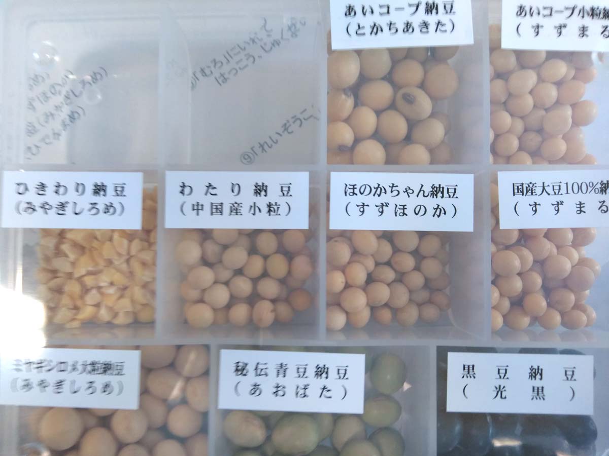 作る納豆ごとの原料大豆の見本